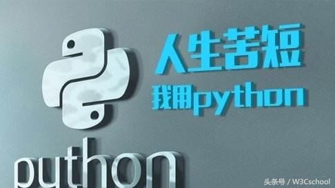 Python之父推荐的一份Python学习清单，这才是你们应该学习的