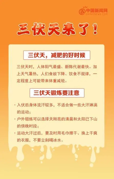 三伏天为啥是减肥的好时候？因新陈代谢最快